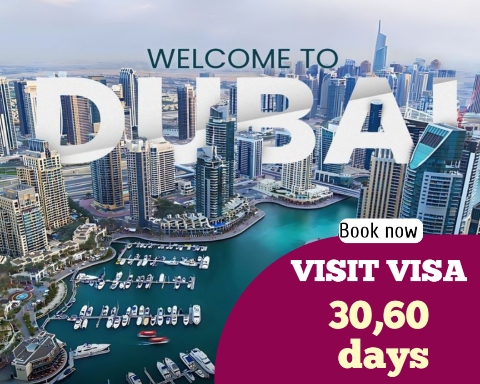 Flycan Travels Wandoor